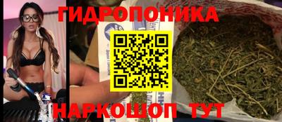 PSILOCYBIN Малгобек