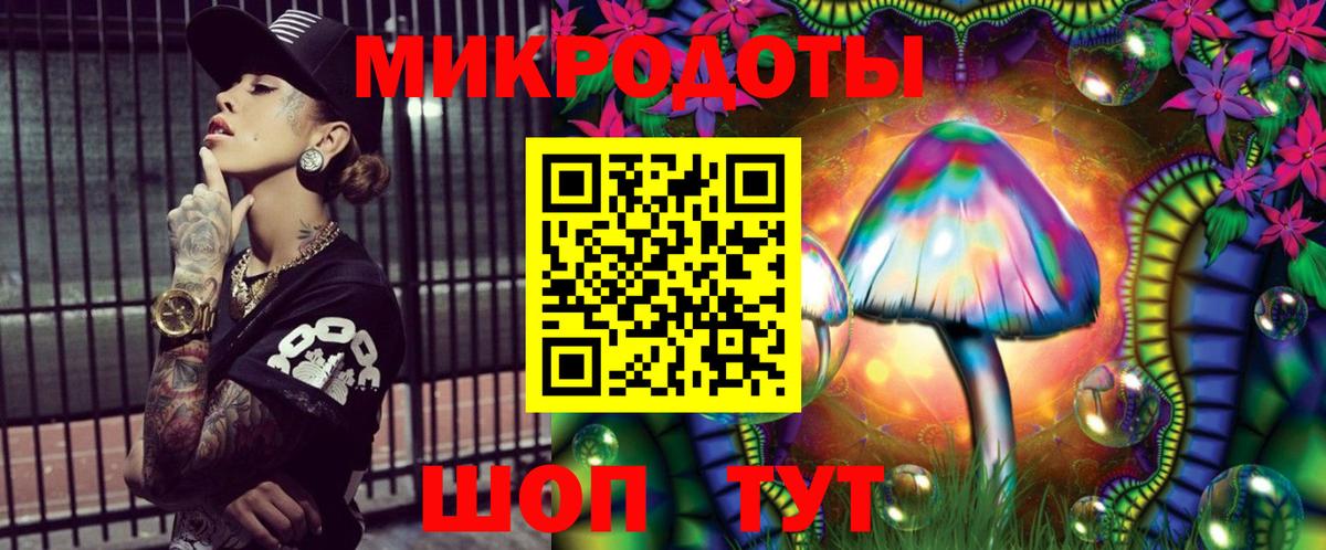 купить   Псилоцибиновые грибы MAGIC MUSHROOMS  Вход с VPN  Ивантеевка 
